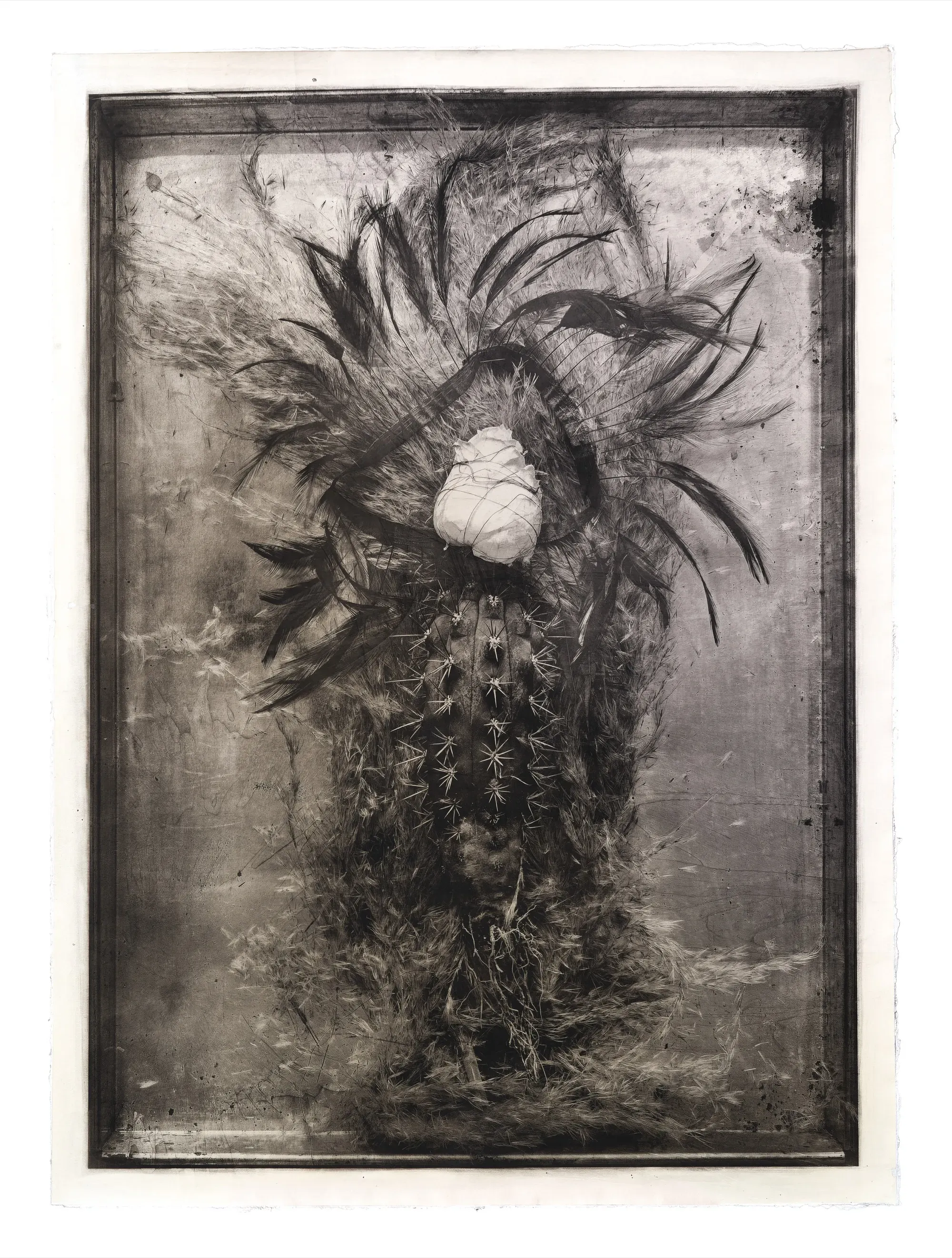 FLORESTA — Max Ruiz